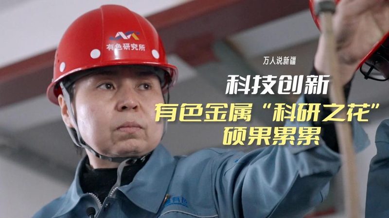 企业数字化工具：如何选择合适的厂家直销方案**
